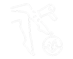 Icon OptimasMax Laser Hair Removal